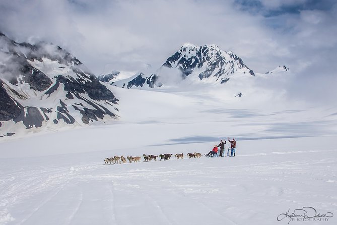 Helicopter and Glacier Dog Sledding Tour from Seward