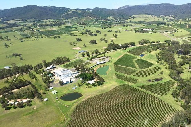Helicopter Tour of Hunter Valley in New South Wales with Lunch