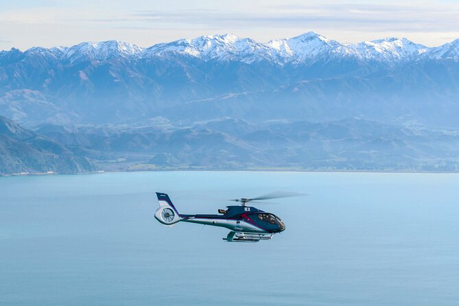 Autogyro flight Kaikoura Helicopters Top n Tail Whale Watch flight From: €359.05