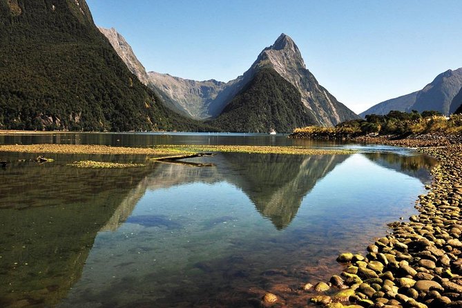 Autogyro flight Milford Sound Cruise and Helicopter Flight including Scenic Landings from Queenstown From: €1251.15