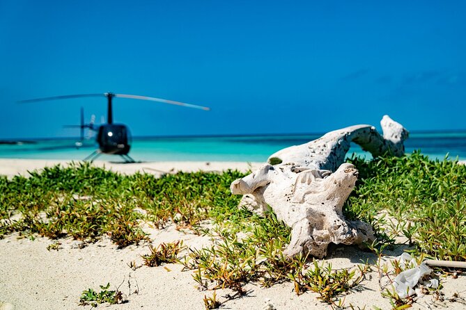 Autogyro flight Private Boracay Helicopter Tour with Hotel Pick Up From: €162.45
