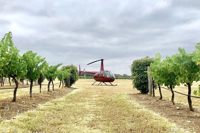 Private Helicopter Flight to Hunter Valley with a la carte Lunch – For 2