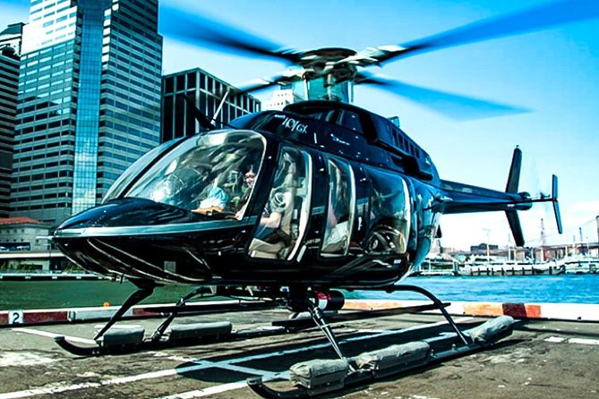 Private VIP New York City Helicopter Tour and Luxury SUV