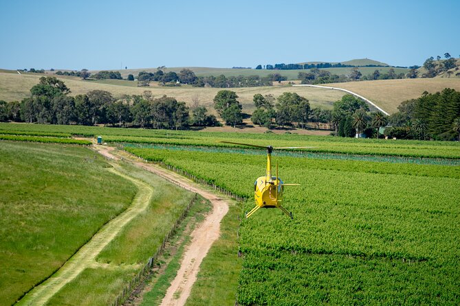 Southern Barossa: 10-Minute Helicopter Flight